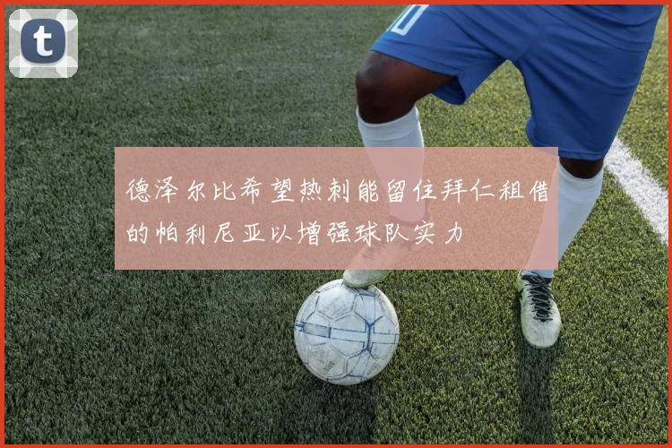 德泽尔比希望热刺能留住拜仁租借的帕利尼亚以增强球队实力