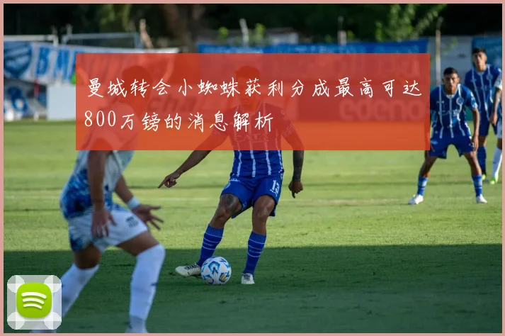 曼城转会小蜘蛛获利分成最高可达800万镑的消息解析