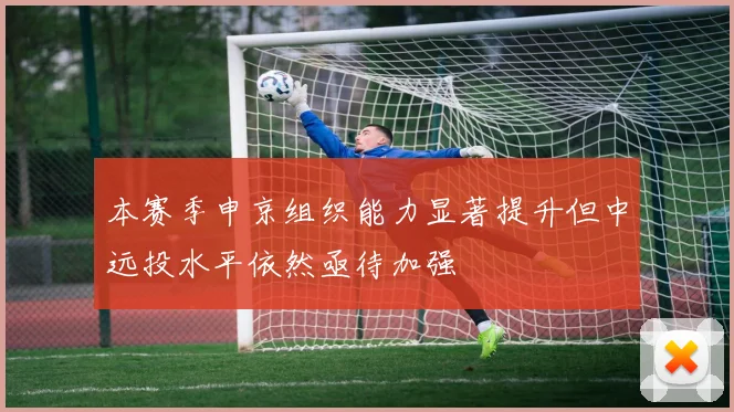 本赛季申京组织能力显著提升但中远投水平依然亟待加强