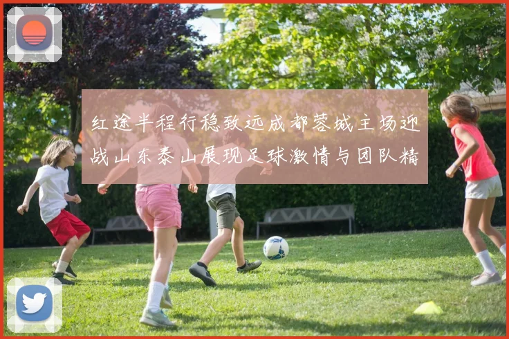 红途半程行稳致远成都蓉城主场迎战山东泰山展现足球激情与团队精神